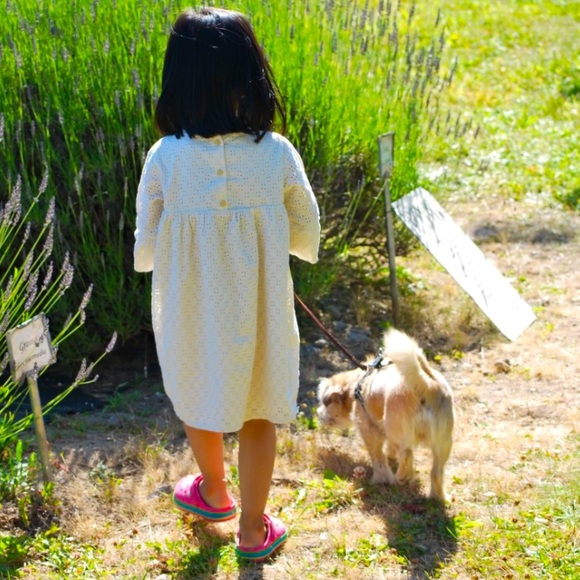 H&M Eyelet Embroidery Dress - Picture 3 of 3